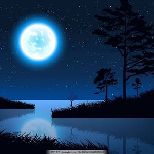 身材较好的美女做爱视频
