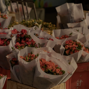 身材较好的美女做爱视频
